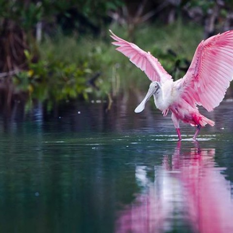 New York & Orlando & Miami Turu Doğu Amerika Rotası